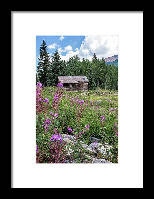Fireweed Framed Print featuring the photograph Shack With Fireweed by Denise Bush