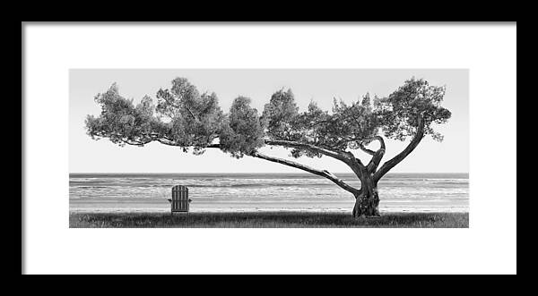 Shade Tree Framed Print featuring the photograph Shade Tree bw by Mike McGlothlen