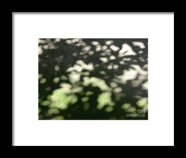 Natural Framed Print featuring the photograph Shaded Patterns by Nora Boghossian