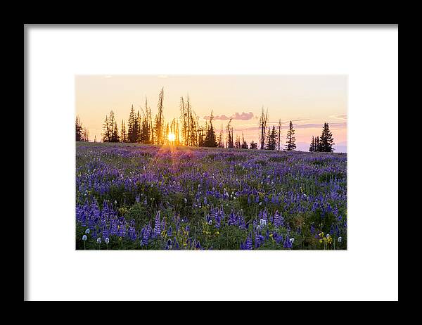 Shades Framed Print featuring the photograph Shades by Chad Dutson
