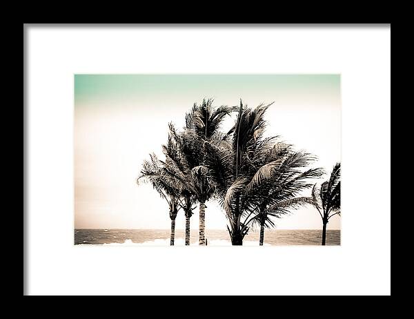 Palm Trees Framed Print featuring the photograph Shades of Palms - Aqua Brown by Colleen Kammerer
