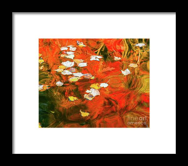 Fall Framed Print featuring the photograph Shadow of the Red Dragon by Tom Cameron