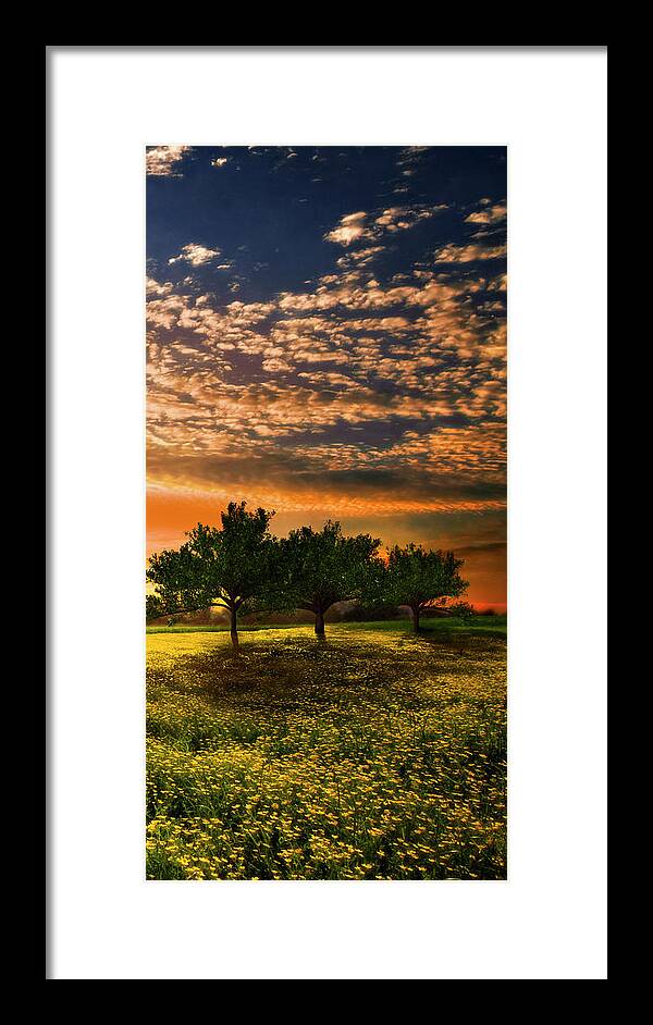 Barn Framed Print featuring the photograph Shadows in the Meadow Right of the Triple by Debra and Dave Vanderlaan