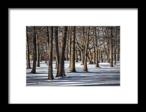 Landscape Framed Print featuring the photograph Shadows Light and Bare Trees by Allan Van Gasbeck
