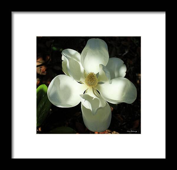 Reid Callaway The Opening Framed Print featuring the photograph Shadows Of Beauty Magnolia Flower Art by Reid Callaway