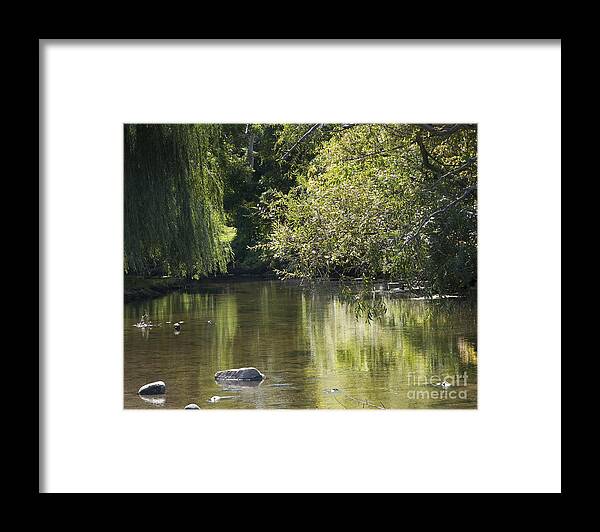 River Framed Print featuring the photograph Shallow River by Tara Lynn
