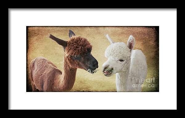Sharing A Meal Framed Print featuring the digital art Sharing a Meal by Victoria Harrington
