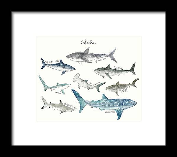 Sharks Framed Print featuring the painting Sharks - Landscape Format by Amy Hamilton