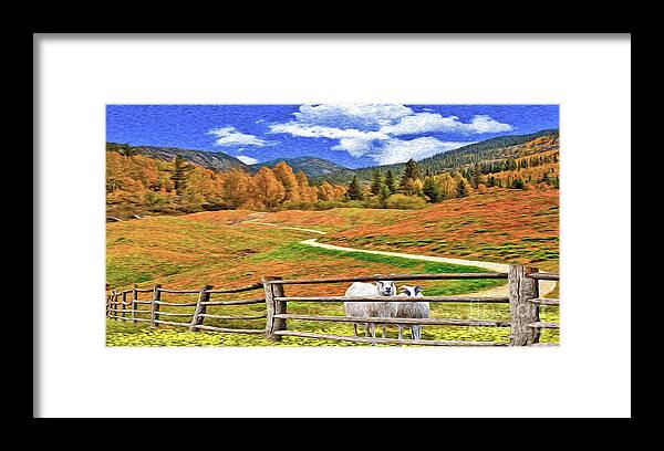 Sheep Framed Print featuring the photograph Sheep and Road Ver 1 by Larry Mulvehill