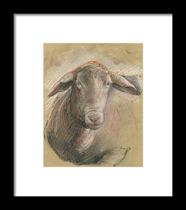 Sheep Artwork Framed Print featuring the painting Sheep head by Juan Bosco