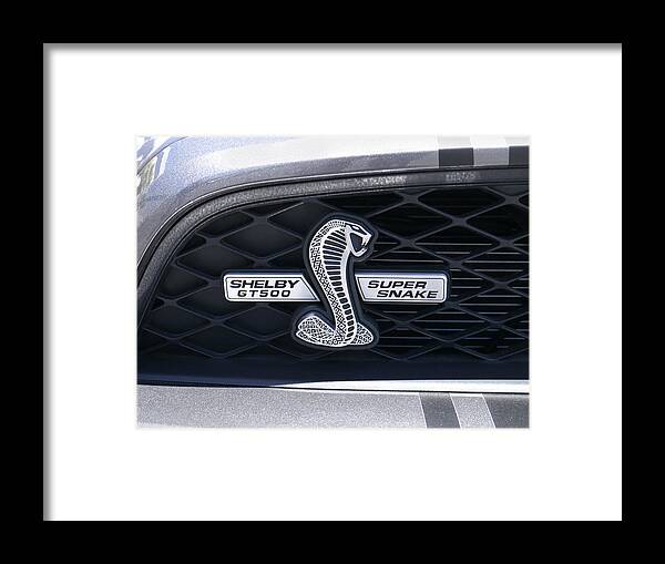 Transportation Framed Print featuring the photograph SHELBY GT 500 Super Snake by Mike McGlothlen