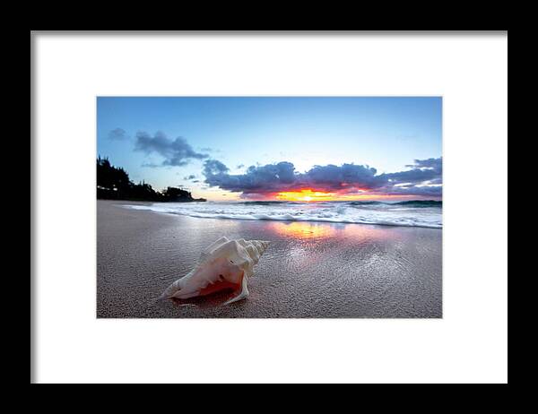 Shell Framed Print featuring the photograph Shell Dawn. by Sean Davey