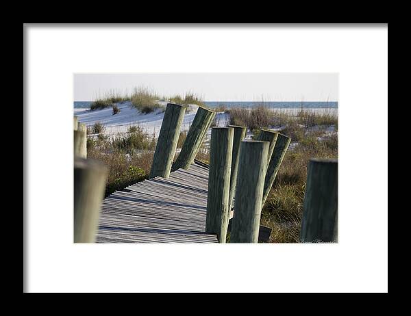 Beach Framed Print featuring the photograph Shell Island Boardwalk by Debra Forand
