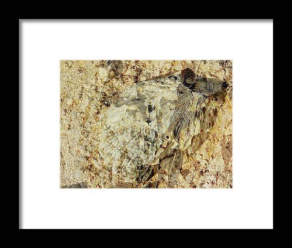 Shell Framed Print featuring the photograph Shell Sand by Stephanie Grant