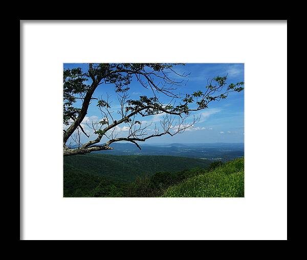 Shenandoah National Park Framed Print featuring the photograph Shenandoah Beauty by Joyce Kimble Smith
