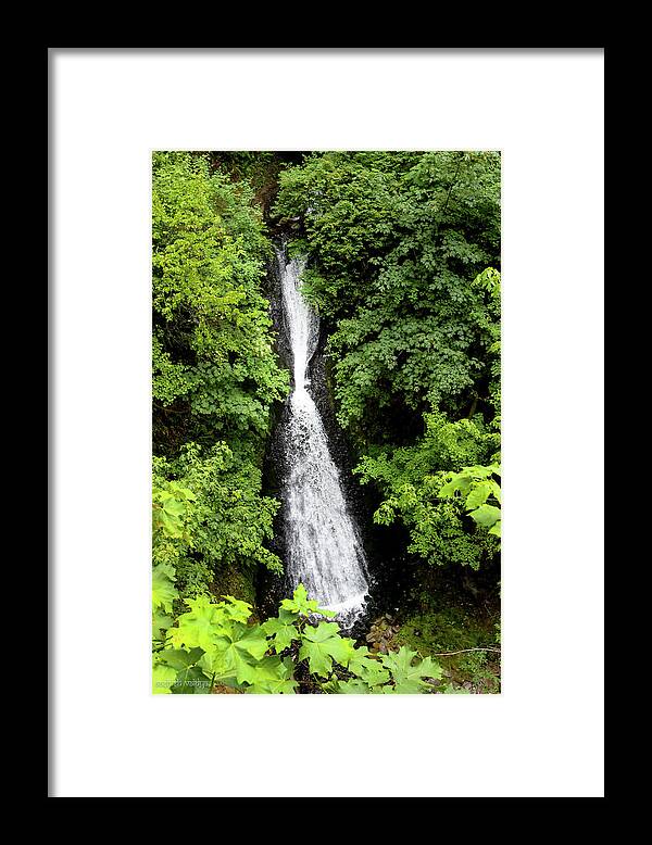 Waterfall Framed Print featuring the photograph Shepperd's Dell Falls, Oregon by Aashish Vaidya