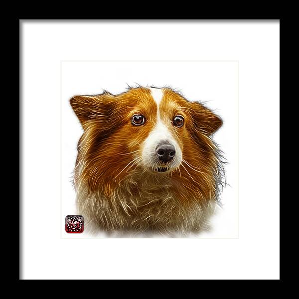 Sheltie Framed Print featuring the digital art Shetland Sheepdog Dog Art 9973 - WB by James Ahn