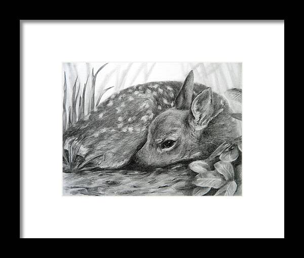 Deer Framed Print featuring the drawing Shhhhh... by Meagan Visser
