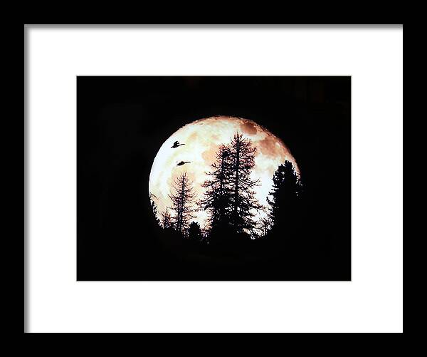Nature Framed Print featuring the photograph Silhouettes om Full Moon by Linda Phelps