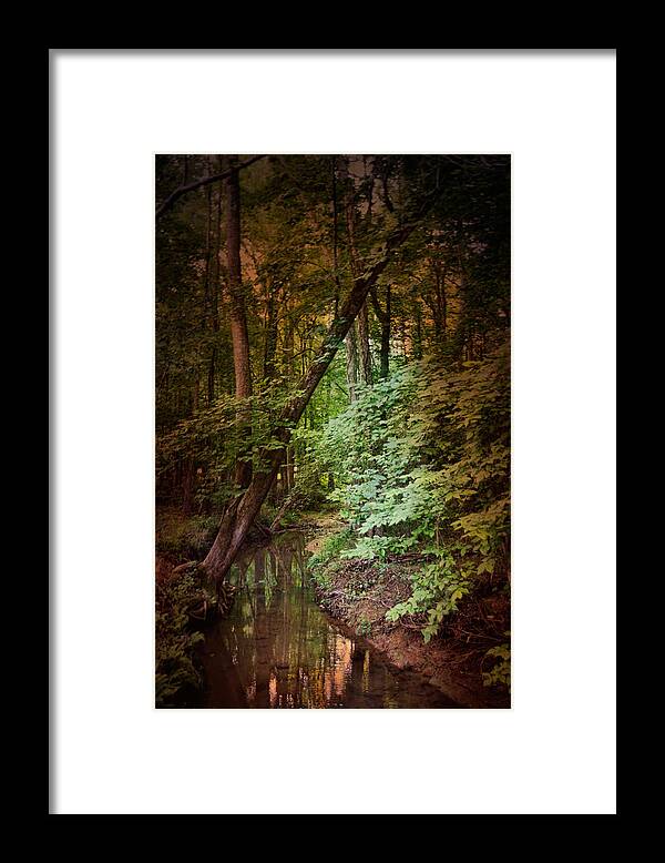 Country Framed Print featuring the photograph Shiloh Stream 2 by Jai Johnson