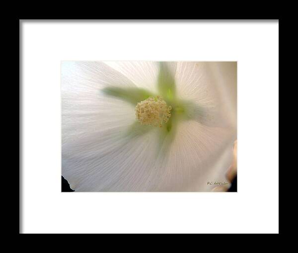 Blossom Framed Print featuring the photograph Shimmer by RC DeWinter