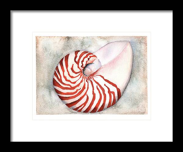 Nautilus Framed Print featuring the painting Shimmering Nautilus by Hilda Wagner