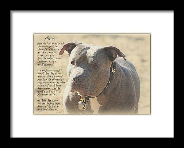 Quote Framed Print featuring the photograph Shine by Sue Long