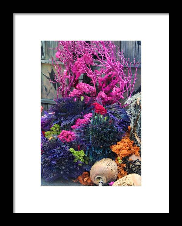 Colors Framed Print featuring the photograph Shipwreck by Tammy Espino