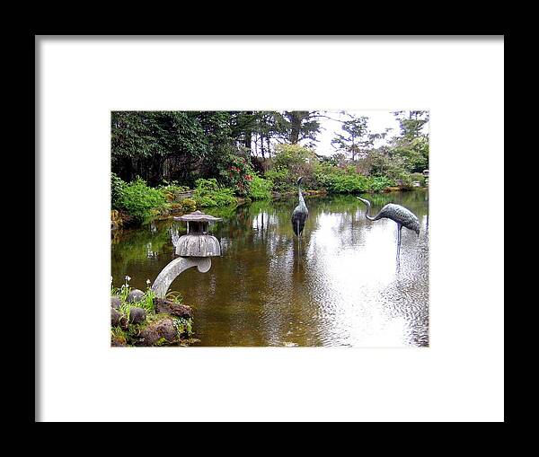 Shore Acres Framed Print featuring the photograph Shore Acres State Park 2 by Will Borden