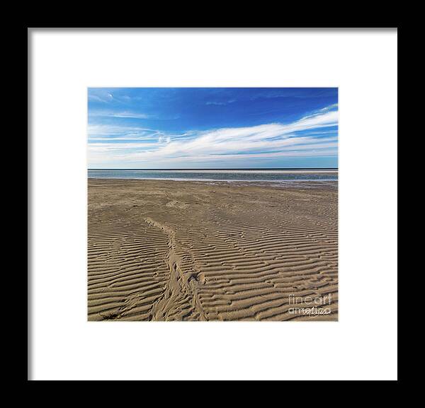 Shore Design Framed Print featuring the photograph Shore Design by Michelle Constantine