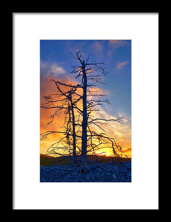 Shoreline Framed Print featuring the photograph Shoreline Silhouettes by Irwin Barrett