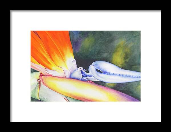 Bird Of Paradise Framed Print featuring the painting Show Off by Lori Taylor