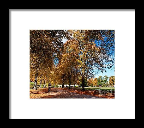 Park Framed Print featuring the photograph Shrewsbury Autmn Park by Chris Smith