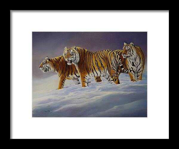 Tiger Framed Print featuring the painting Siberian Sunlight by Barry BLAKE