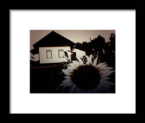 Lake Framed Print featuring the photograph Side of the Sun by J C