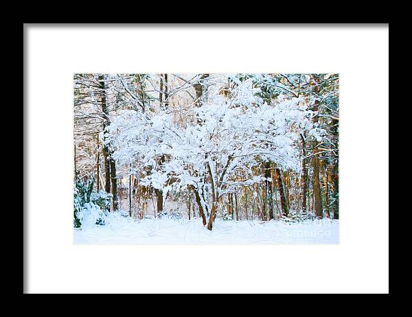 Winter Framed Print featuring the photograph Siebold Viburnum in Snow by Anita Pollak