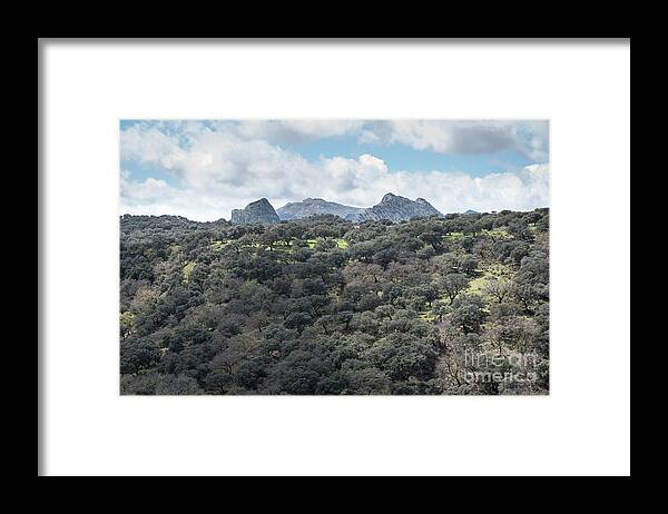 Sierra Framed Print featuring the photograph Sierra Ronda, Andalucia Spain by Perry Rodriguez