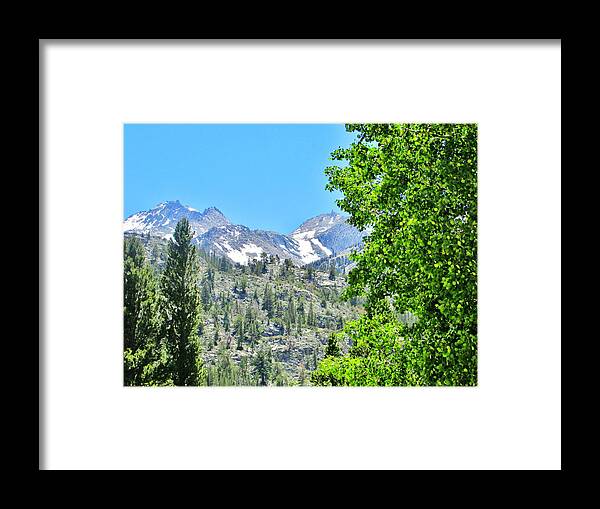 Sky Framed Print featuring the photograph Sierra Summer by Marilyn Diaz