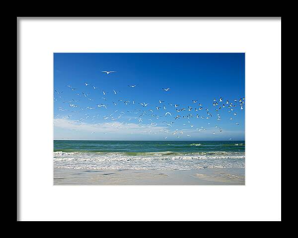 Florida Framed Print featuring the photograph Siesta Key by Gouzel -
