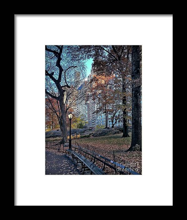 New York City Framed Print featuring the photograph Sights in New York City - Central Park by Walt Foegelle