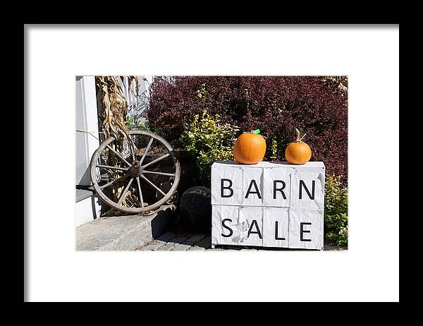 Foliage Framed Print featuring the photograph Signs of Fall by Caroline Stella