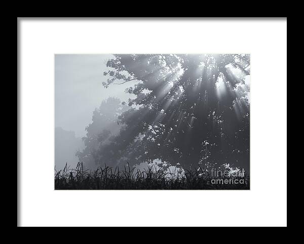 Silent Blessings Framed Print featuring the photograph Silent Blessings by Rachel Cohen