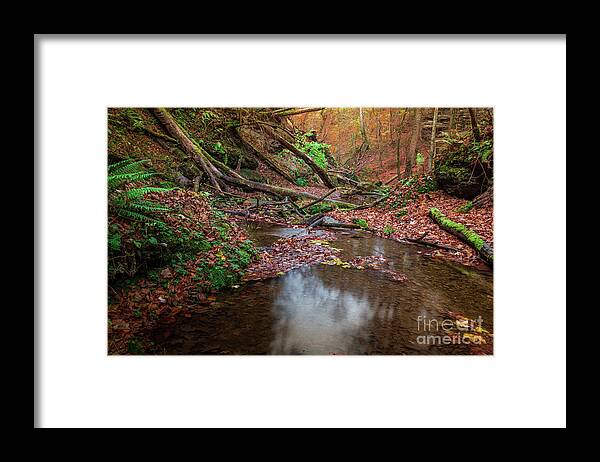 Autumn Framed Print featuring the photograph Silent Glowing Fall by Hannes Cmarits