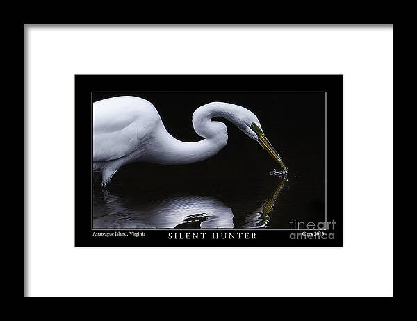 Egret Framed Print featuring the photograph Silent Hunter by Gene Bleile Photography 