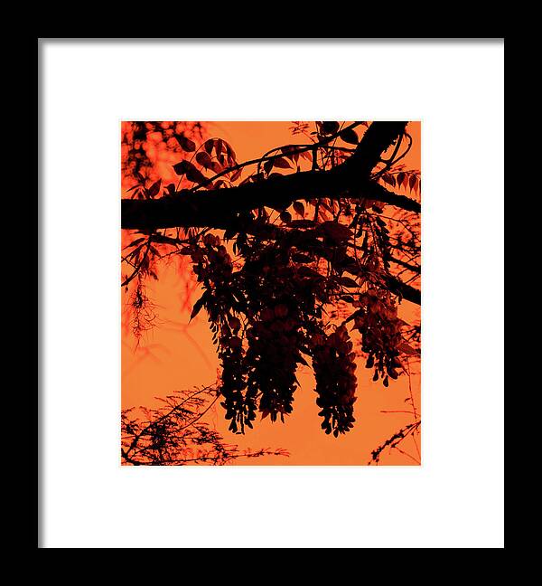 Black Framed Print featuring the photograph Silhouette by Cathy Harper