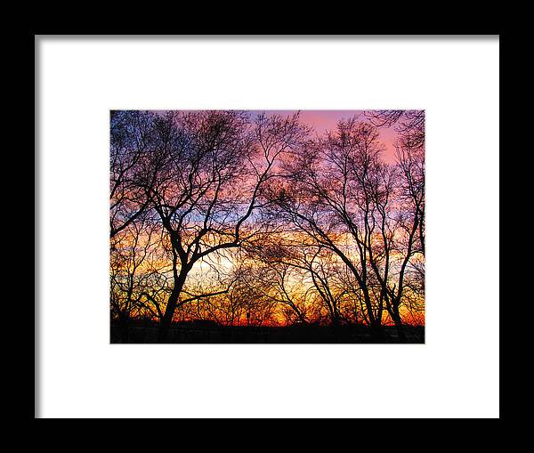 Photograph Framed Print featuring the photograph Silhouette Sunset 43017 by Delynn Addams
