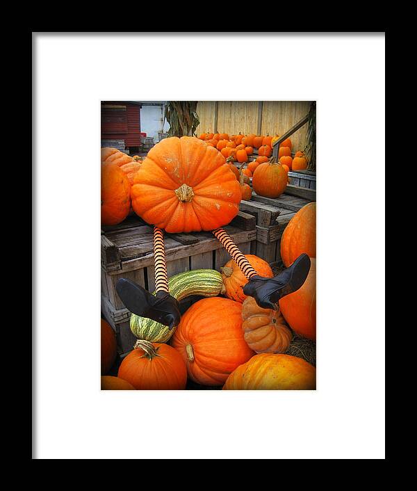 Fall Humor Framed Print featuring the photograph Silly Pumpkin by Suzanne DeGeorge