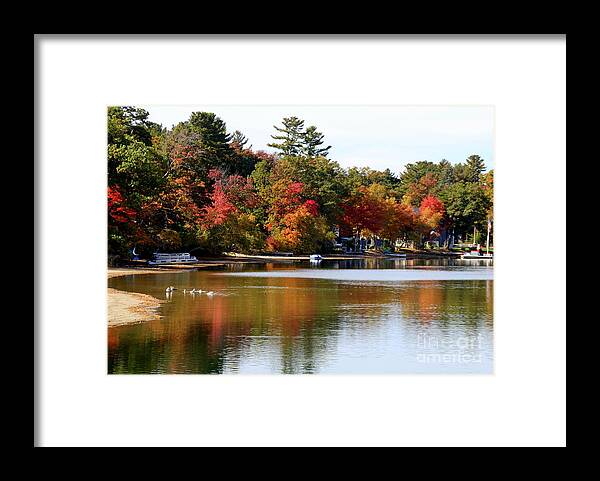  Framed Print featuring the photograph Silver lake Reflections Wilmington Ma by Lennie Malvone