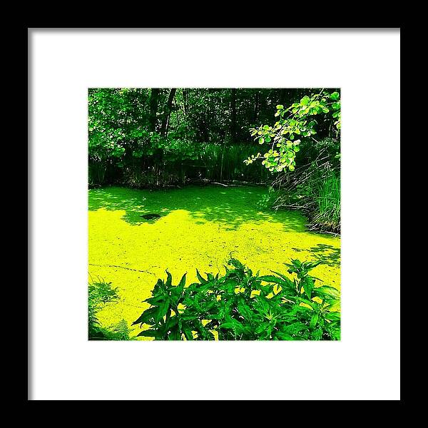 Princely_shotz Framed Print featuring the photograph Simply Green by Tanya Gordeeva