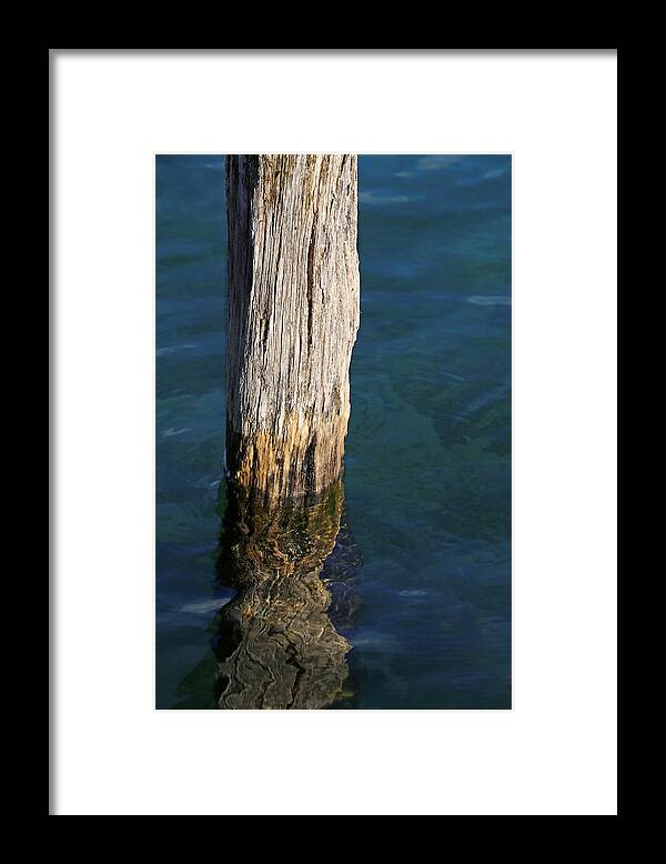 Pilings Framed Print featuring the photograph Single Old Piling 5 by Mary Bedy